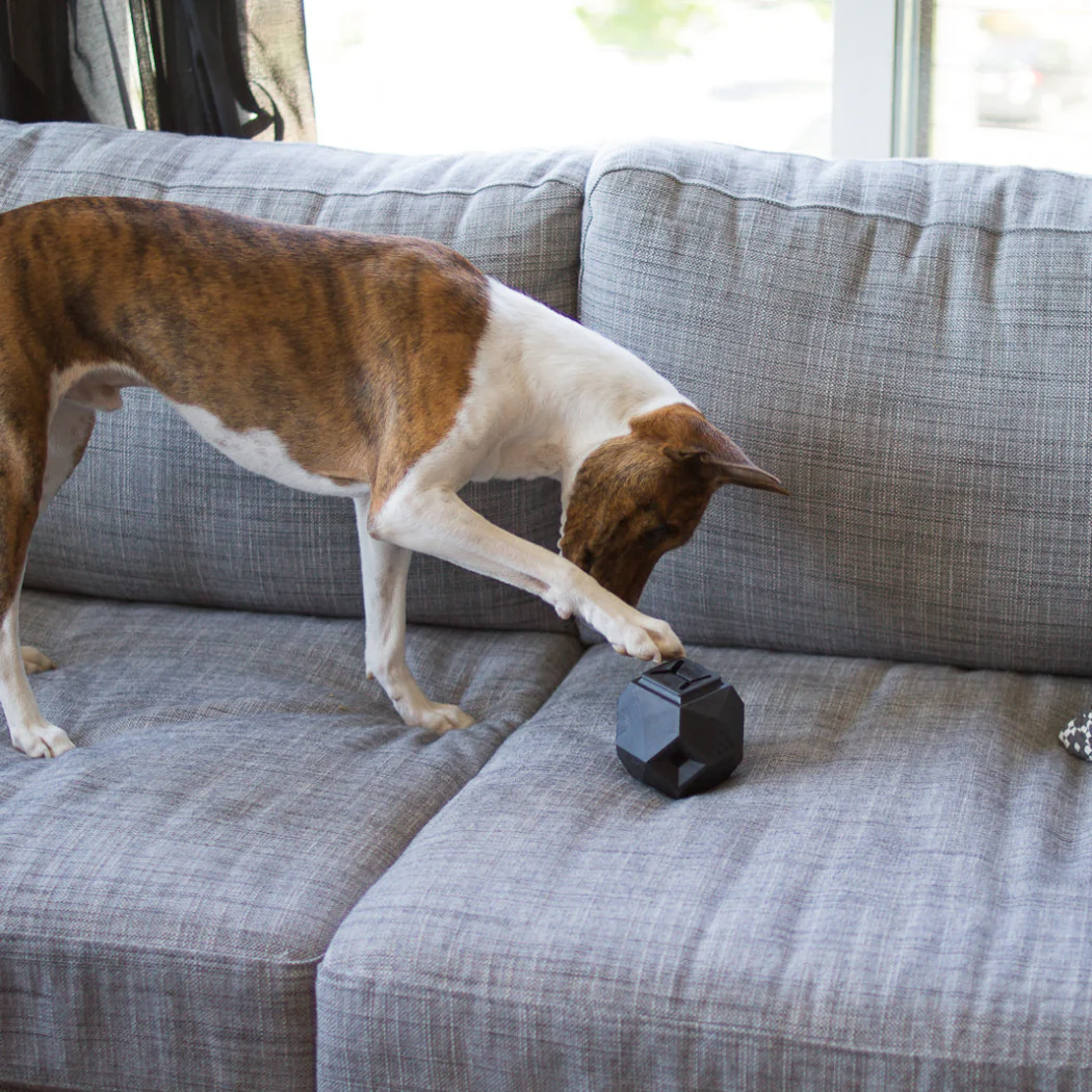 Up Dog Enrichment Kit - Image 3