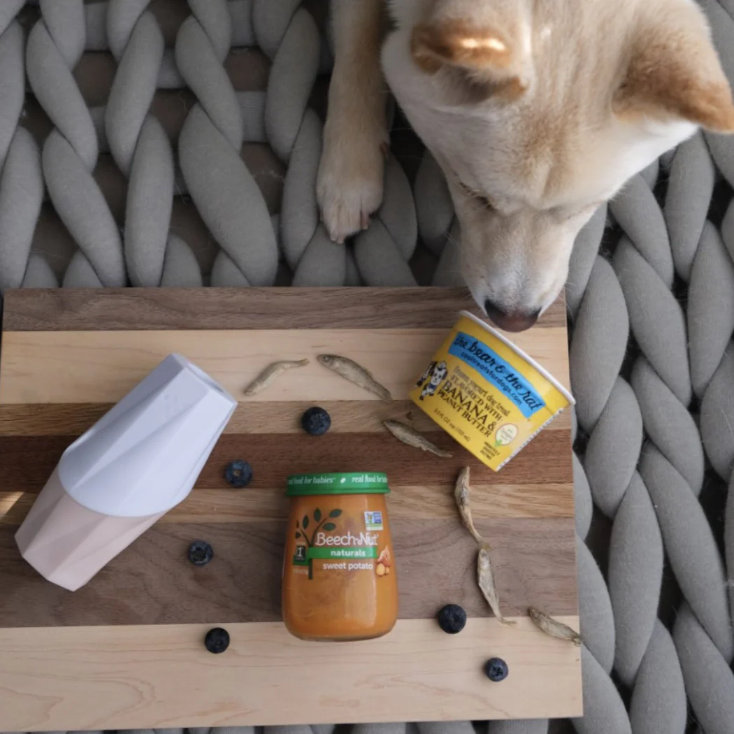 Up Dog Enrichment Kit - Image 5