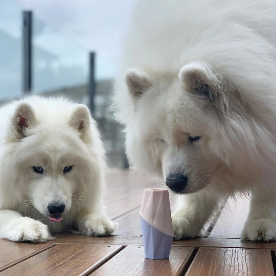 The Ubbe Modern Dog Licking Toy - Image 4