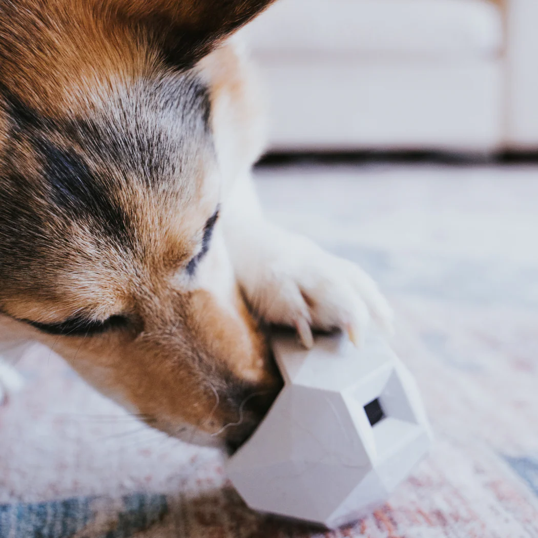 The Odin Treat Dispensing Toy For Dogs - Image 4