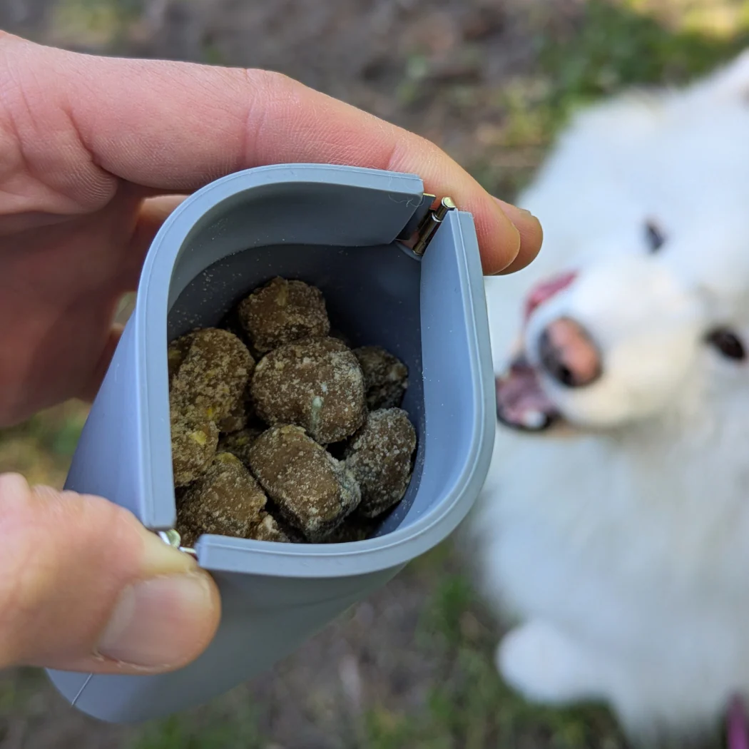 Up Dog Walk Kit - Image 4